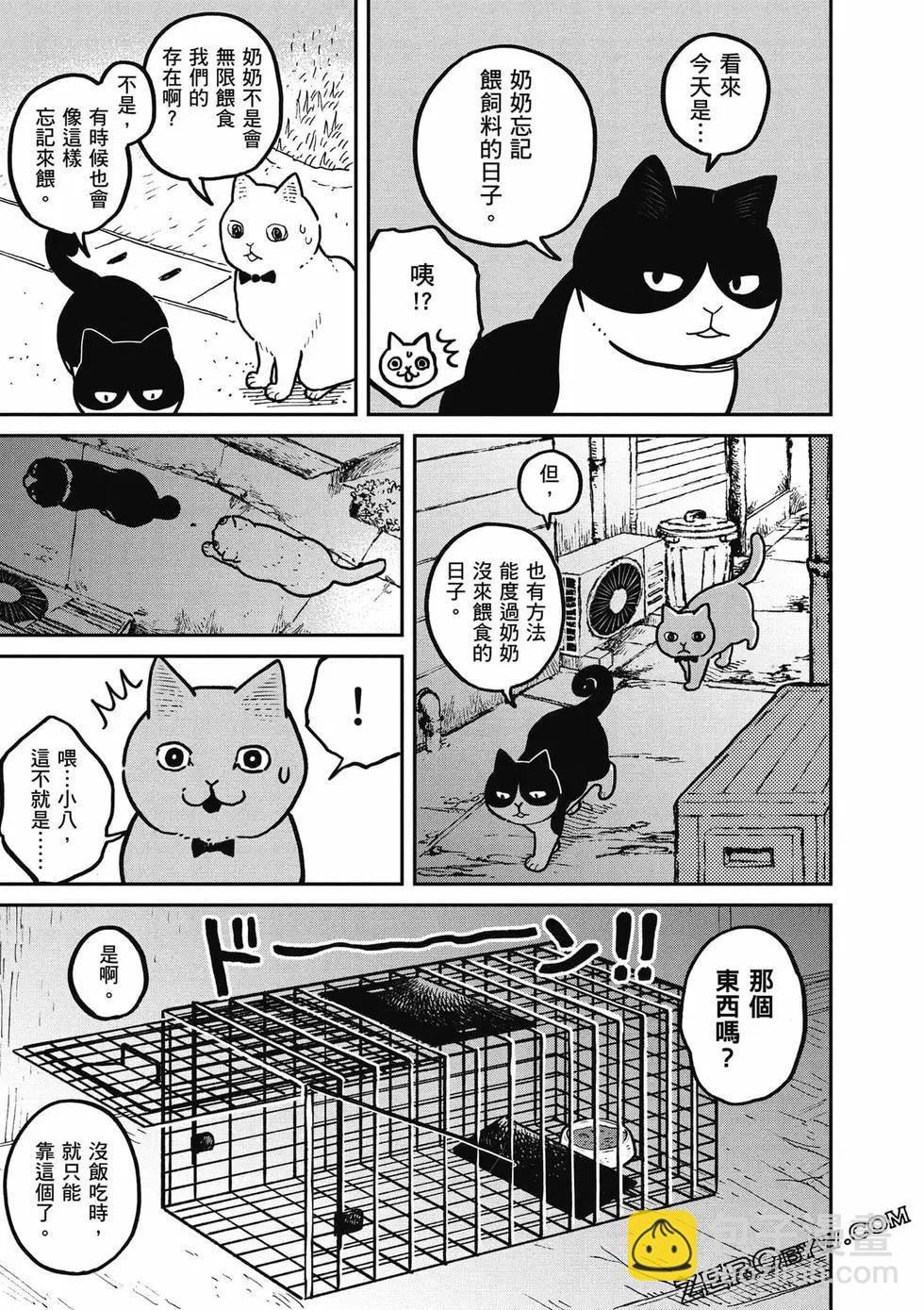 貓咪好夥伴小圓圓和小八 - 第01卷(1/4) - 2