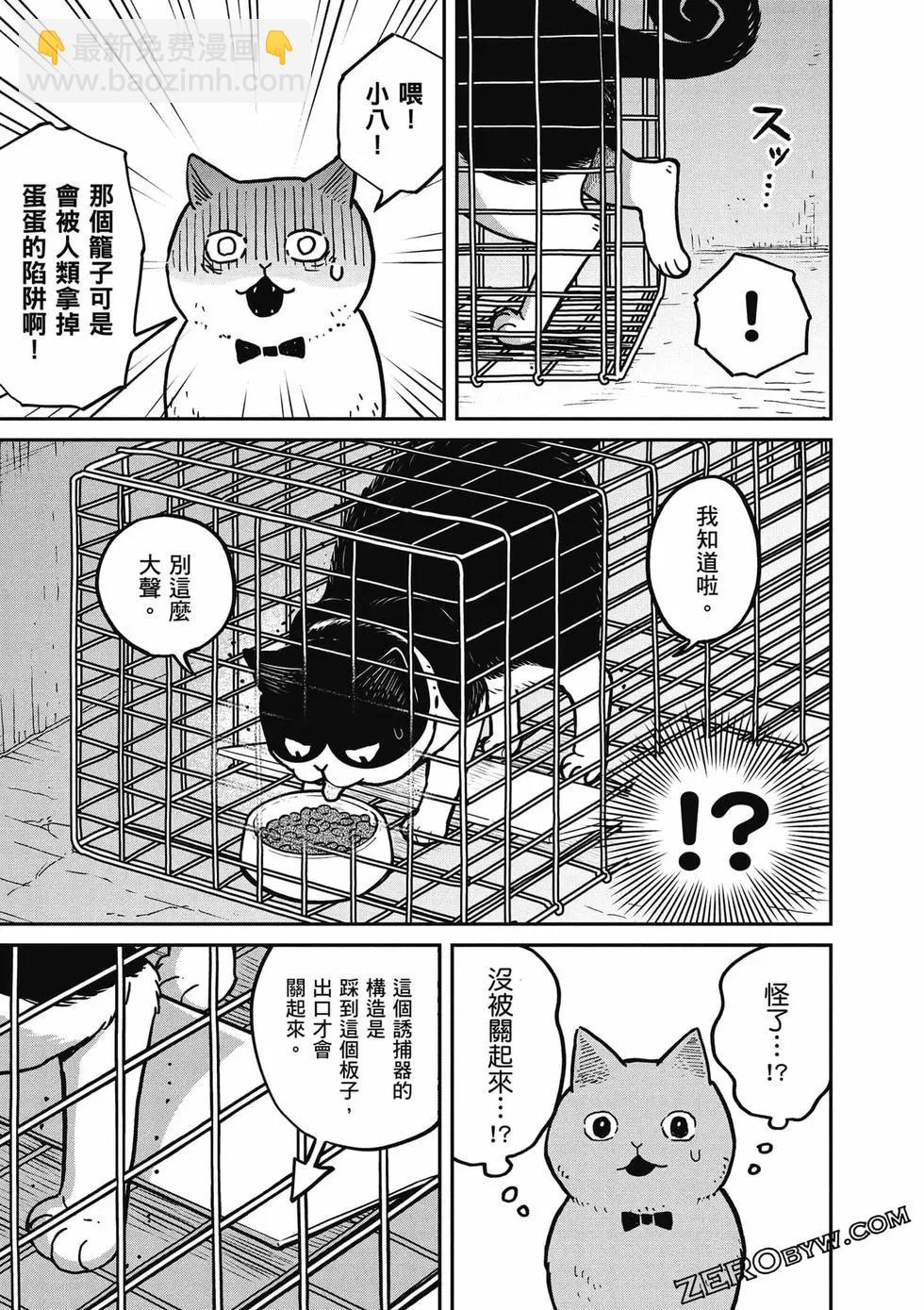 貓咪好夥伴小圓圓和小八 - 第01卷(1/4) - 4