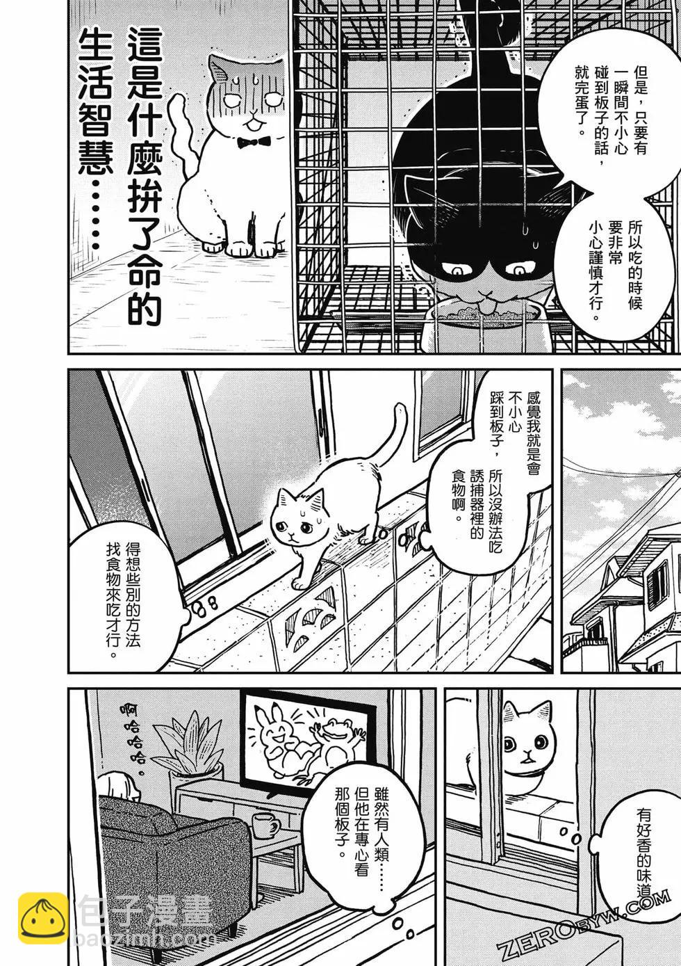 貓咪好夥伴小圓圓和小八 - 第01卷(1/4) - 5