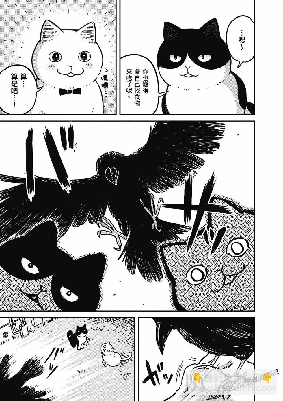 貓咪好夥伴小圓圓和小八 - 第01卷(1/4) - 8