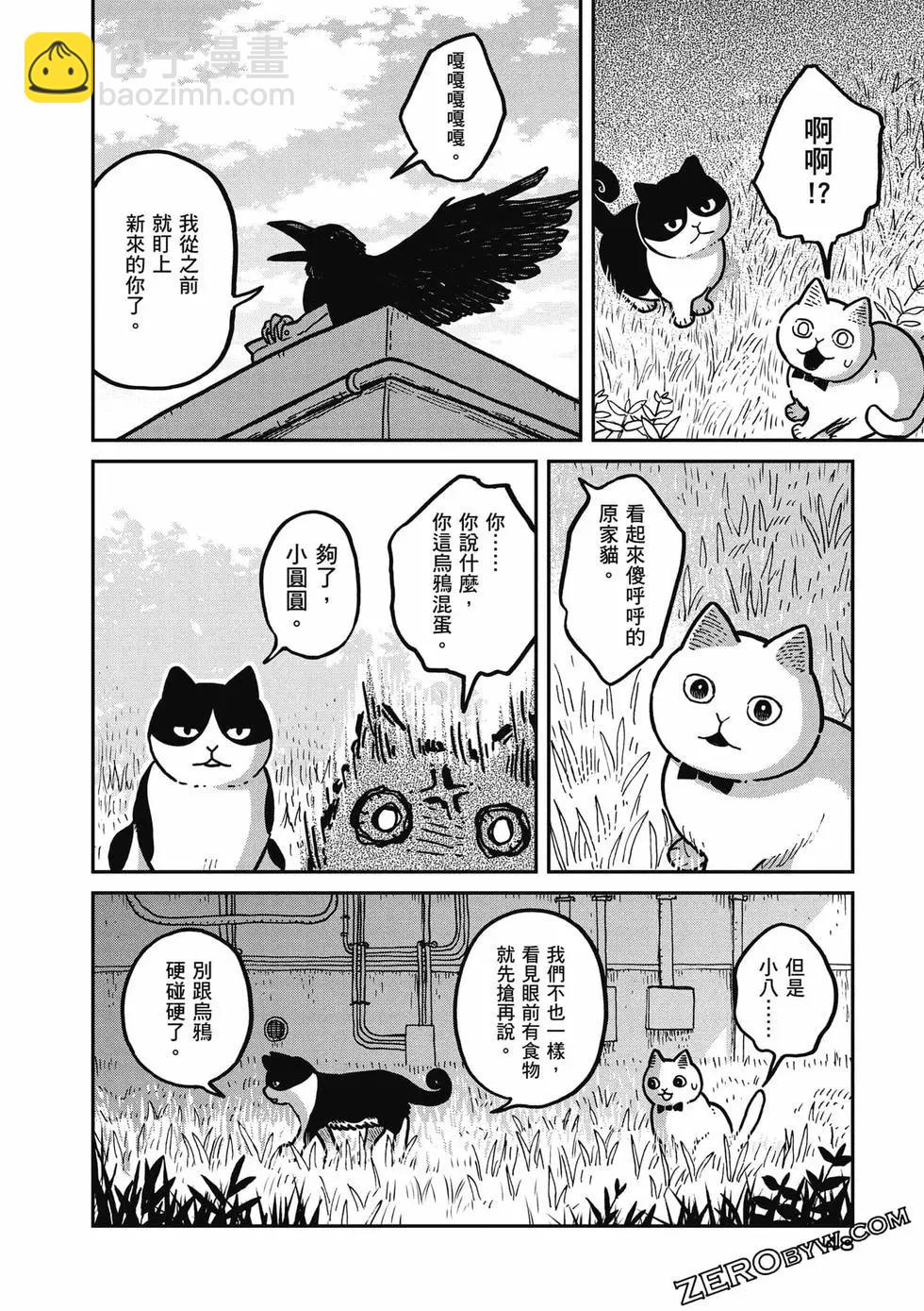 貓咪好夥伴小圓圓和小八 - 第01卷(1/4) - 1