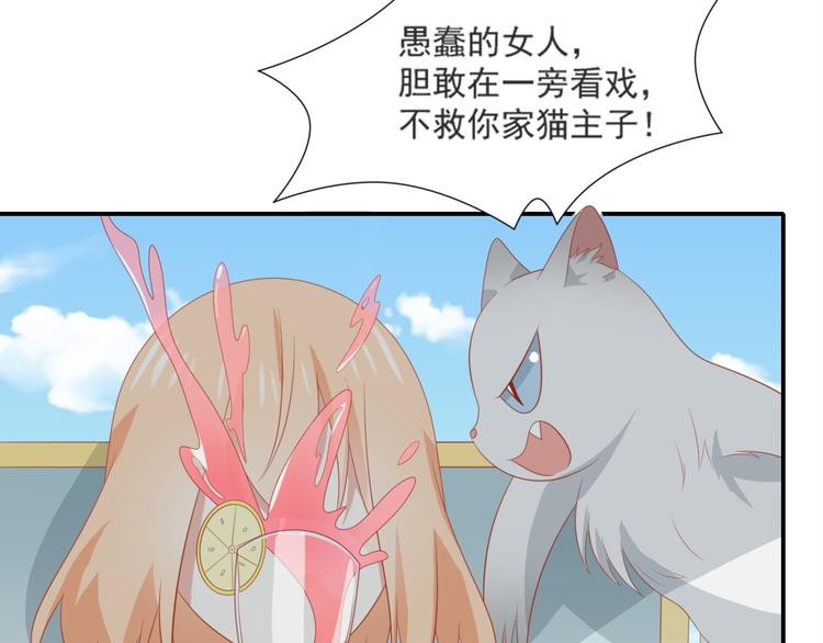 第3话 同床共枕我的喵？(1/3)-第3话