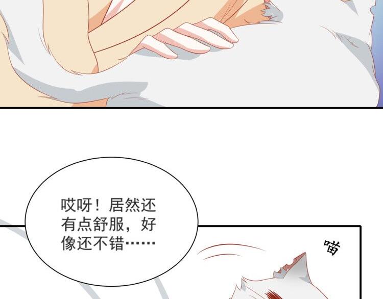 第3话 同床共枕我的喵？(1/3)-第3话