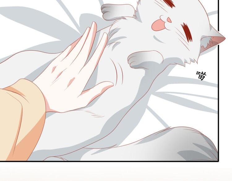 第3话 同床共枕我的喵？(1/3)-第3话