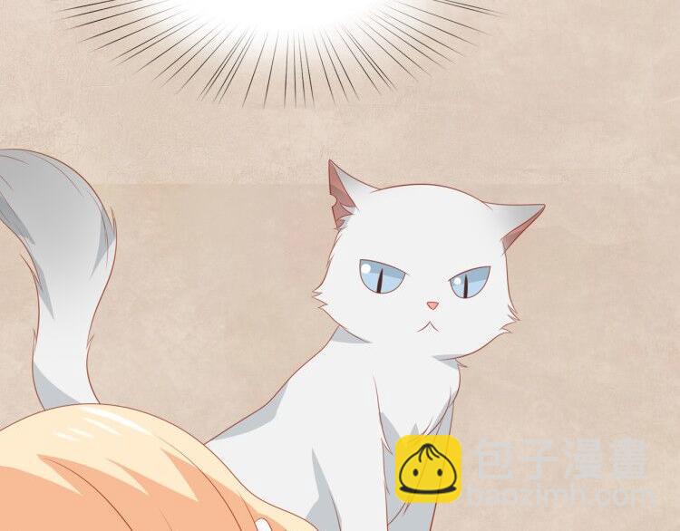 第3话 同床共枕我的喵？(1/3)-第3话