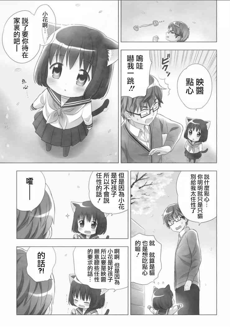 貓咪小花 - 1話 - 1