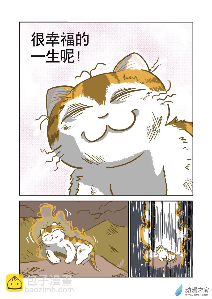 貓咪X貓咪 - 01 平凡X幸福 - 1