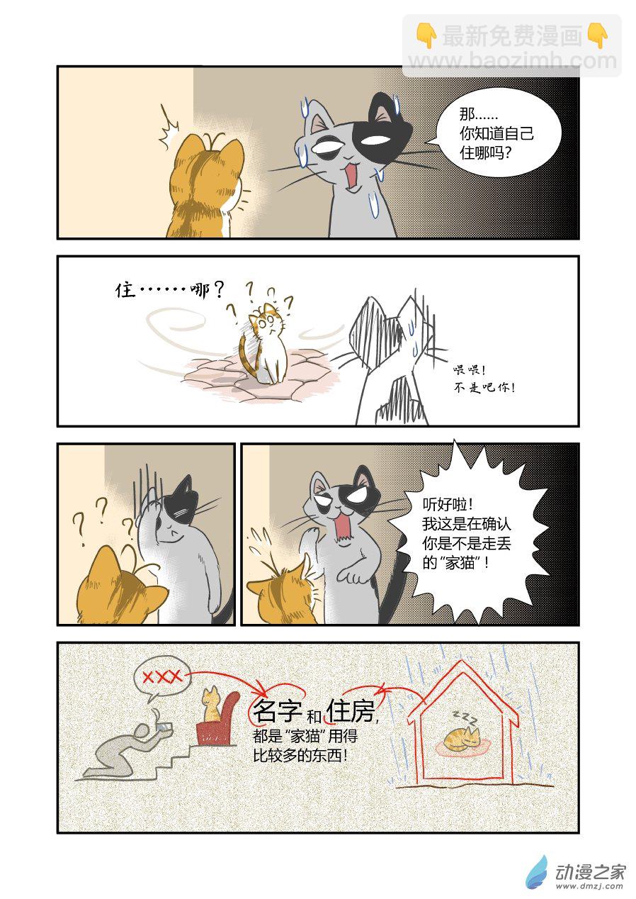 貓咪X貓咪 - 01 平凡X幸福 - 3