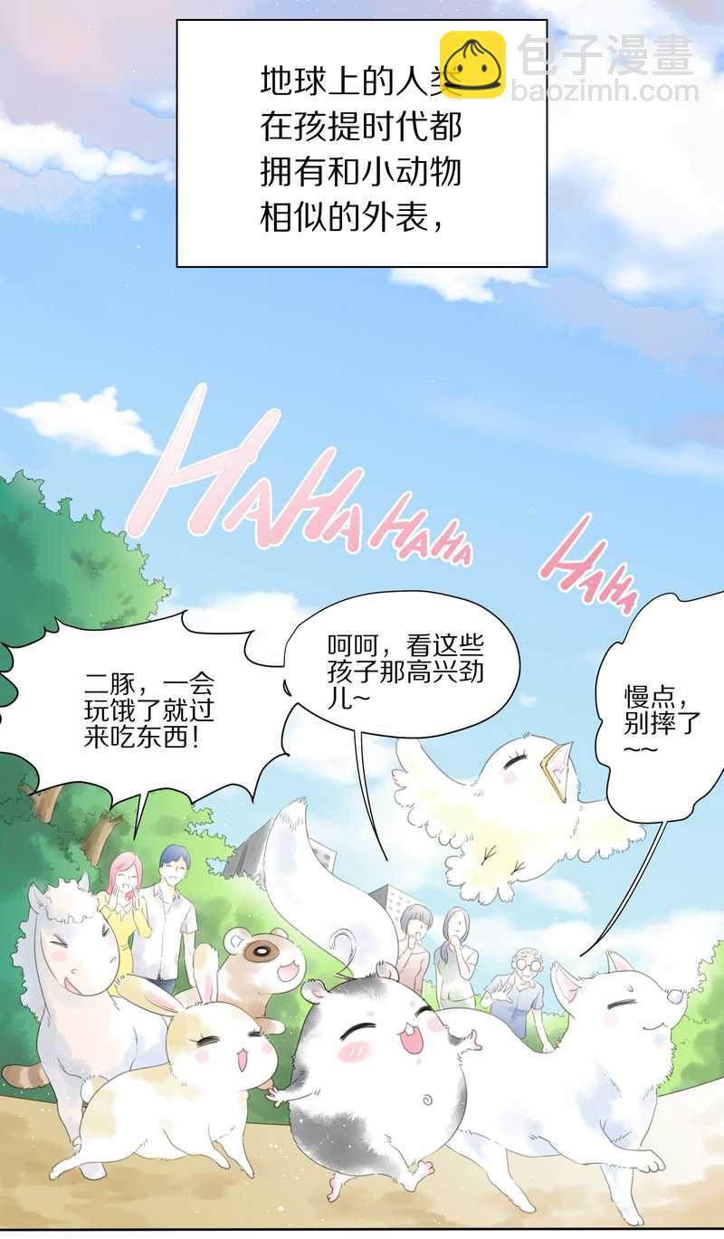 毛球星传说 第1集(1/2)-第1话