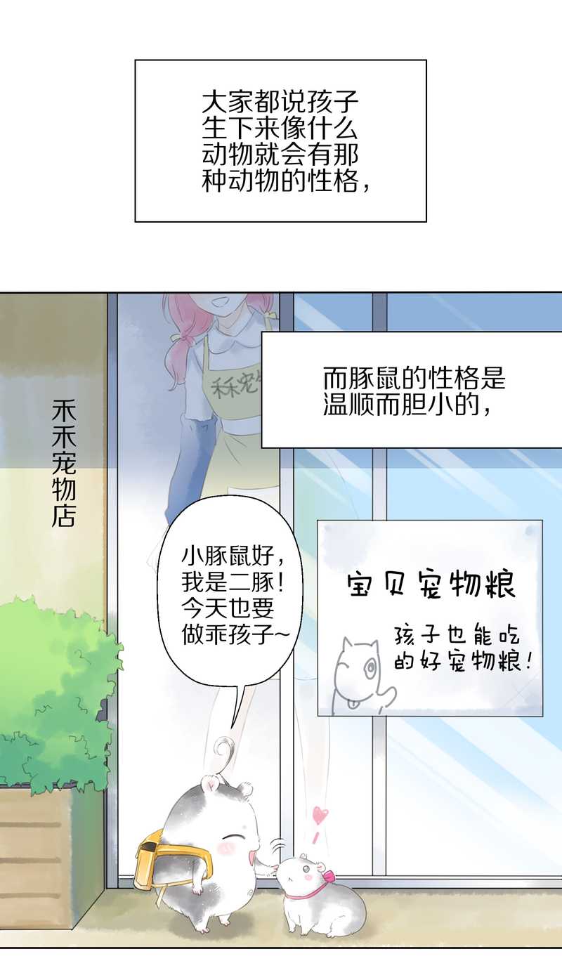 毛球星传说 第1集(1/2)-第1话