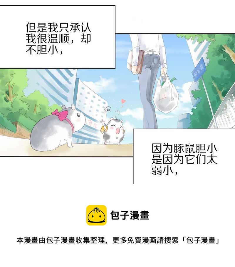 毛球星傳說 - 毛球星傳說 第1集(1/2) - 5