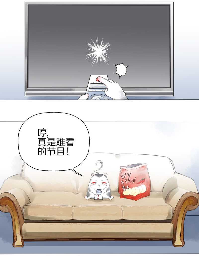 毛球星传说 第1集(1/2)-第1话