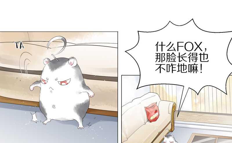 毛球星传说 第1集(1/2)-第1话