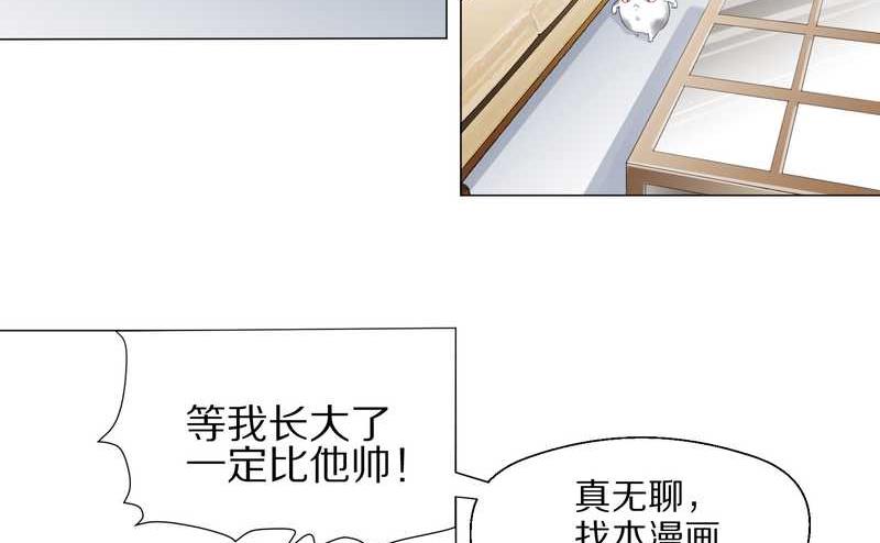 毛球星传说 第1集(1/2)-第1话