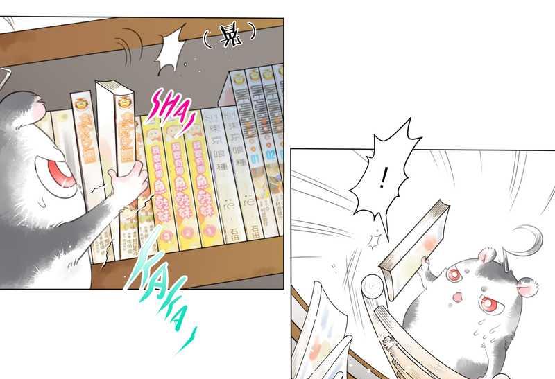 毛球星传说 第1集(1/2)-第1话