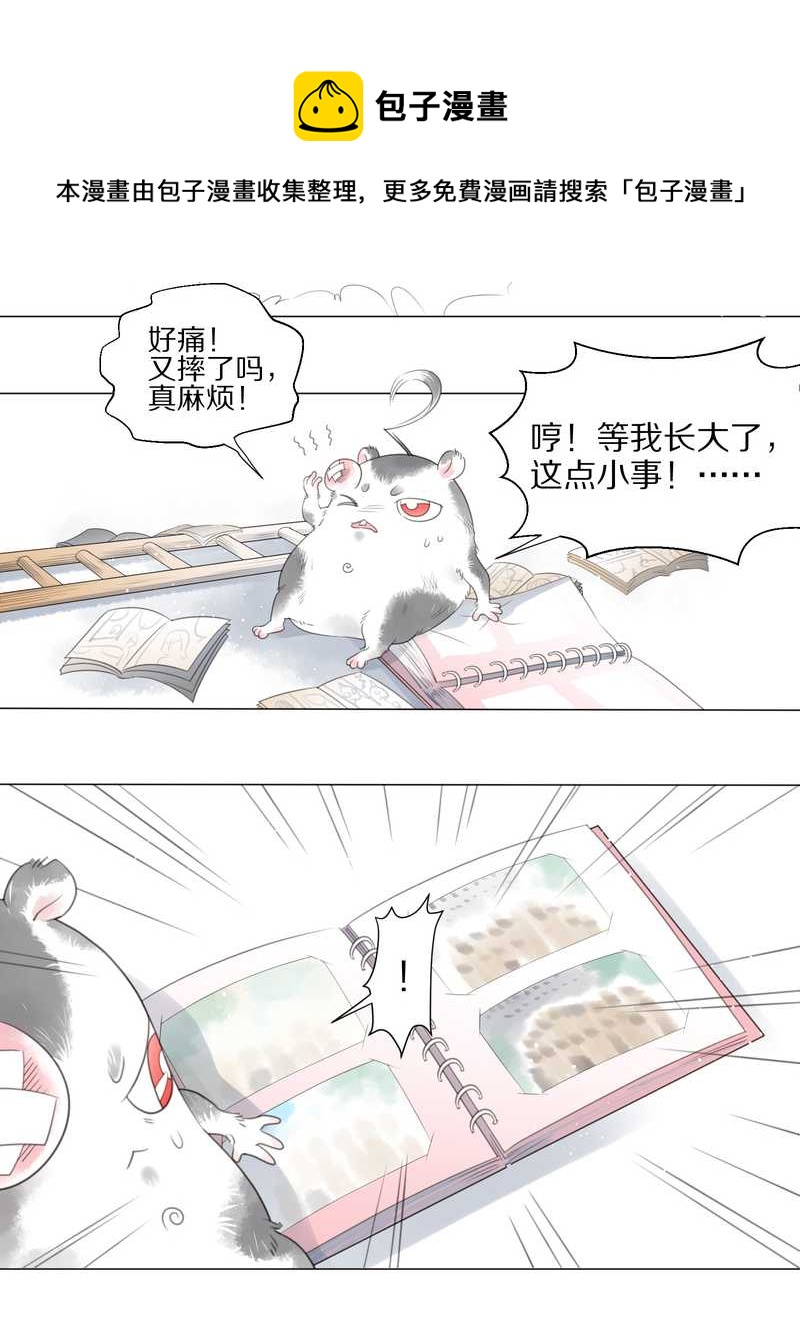 毛球星传说 第1集(1/2)-第1话