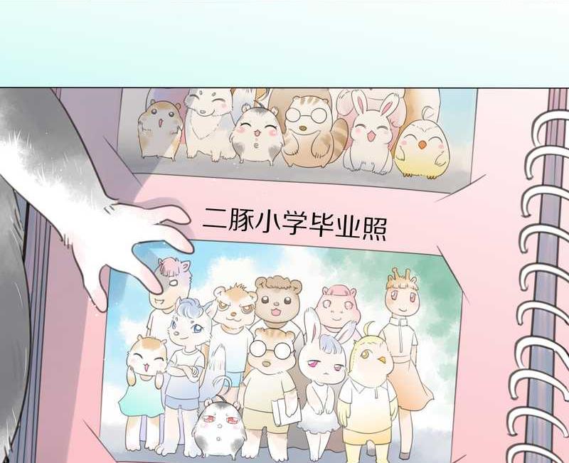 毛球星传说 第1集(1/2)-第1话