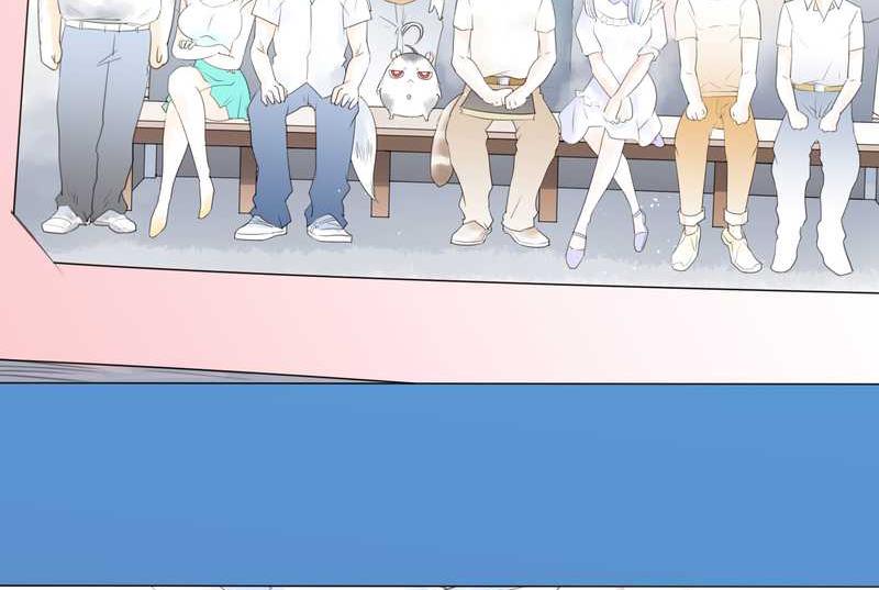 毛球星传说 第1集(1/2)-第1话