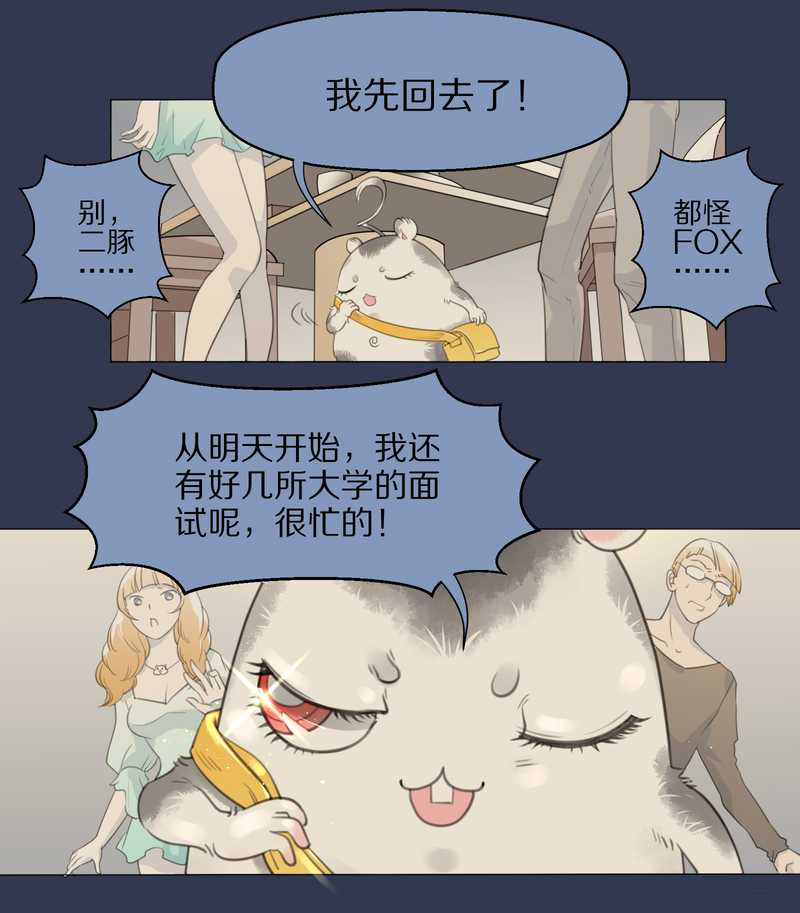 毛球星传说 第1集(1/2)-第1话