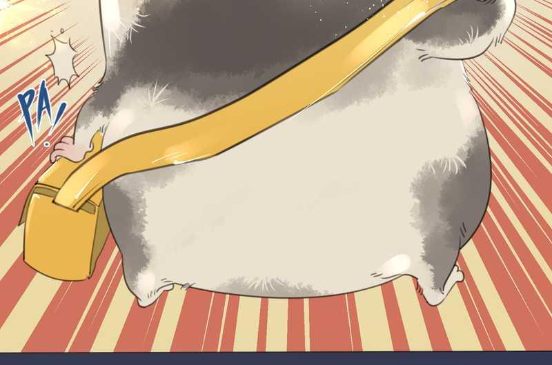 毛球星传说 第1集(1/2)-第1话