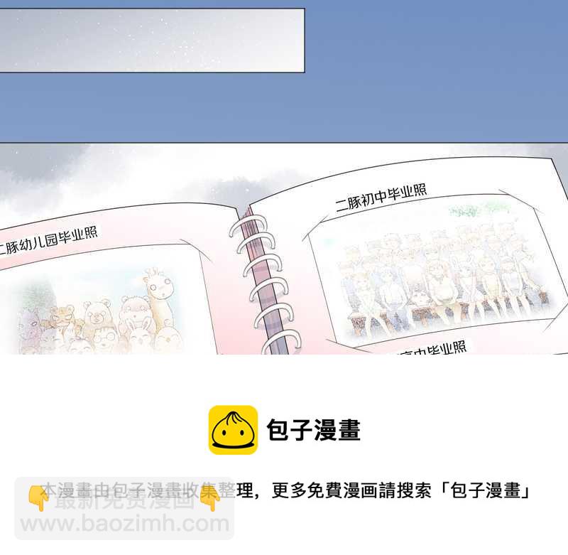 毛球星传说 第1集(1/2)-第1话