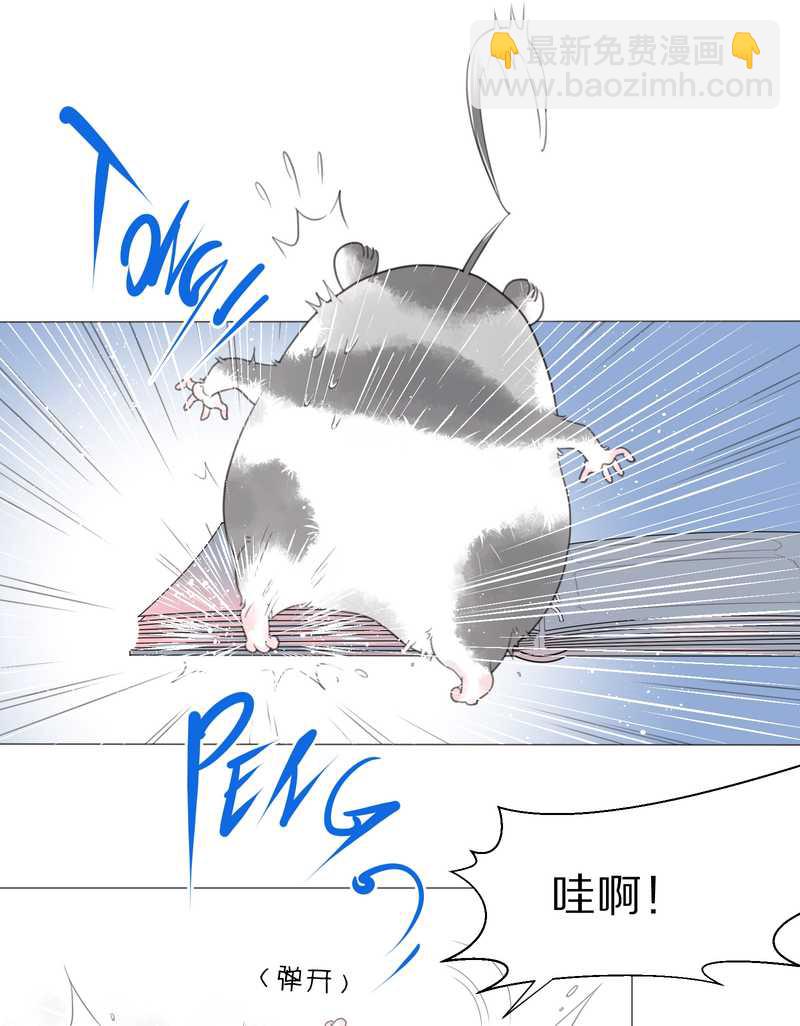 毛球星传说 第1集(1/2)-第1话