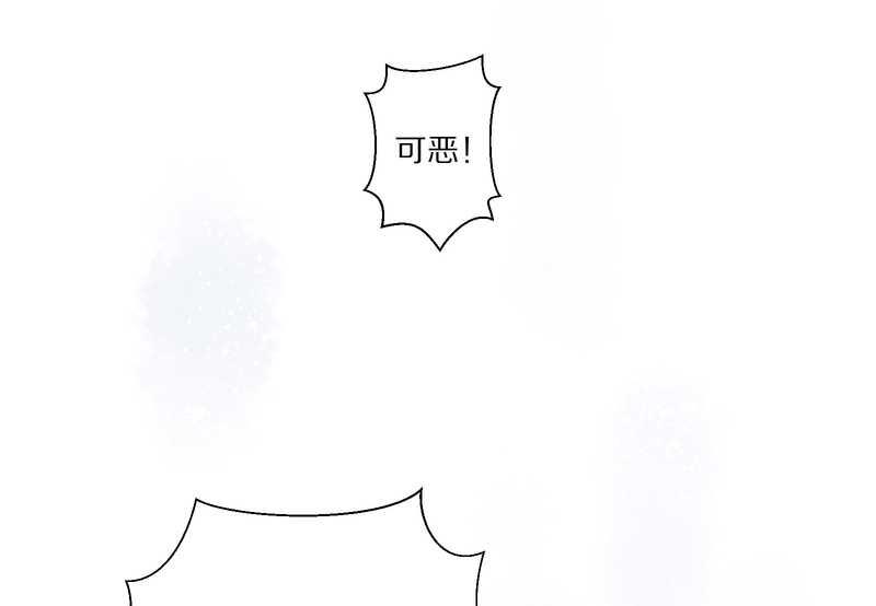 毛球星传说 第1集(1/2)-第1话