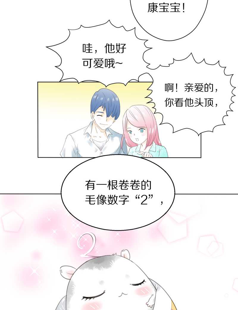 毛球星传说 第1集(1/2)-第1话