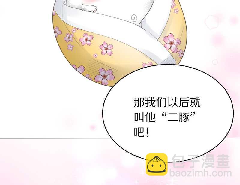 毛球星传说 第1集(1/2)-第1话