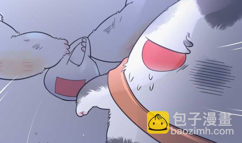 毛球星传说 第11集-第11话