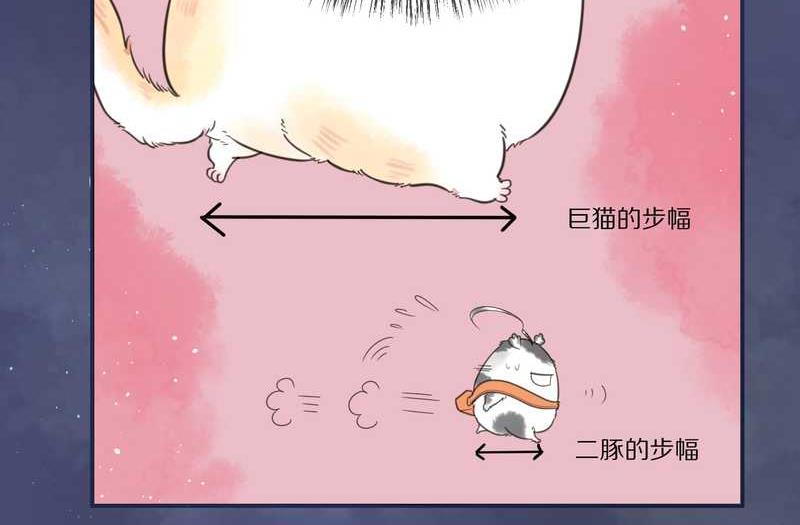 毛球星传说 第11集-第11话