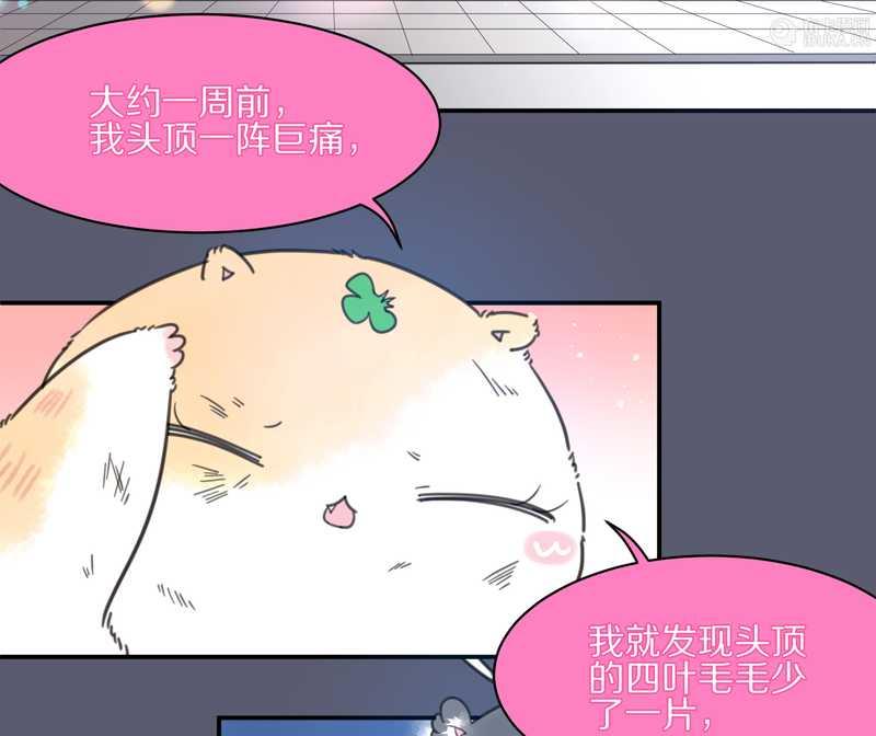 毛球星传说 第11集-第11话