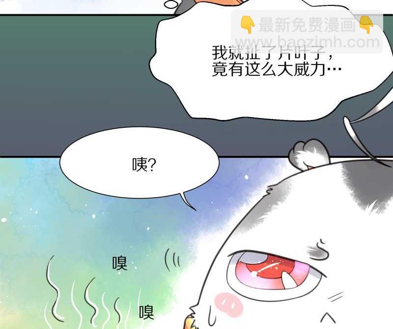 毛球星傳說 - 毛球星傳說 第11集 - 5