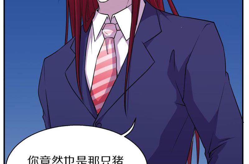 毛球星传说  第105集(1/3)-第105话