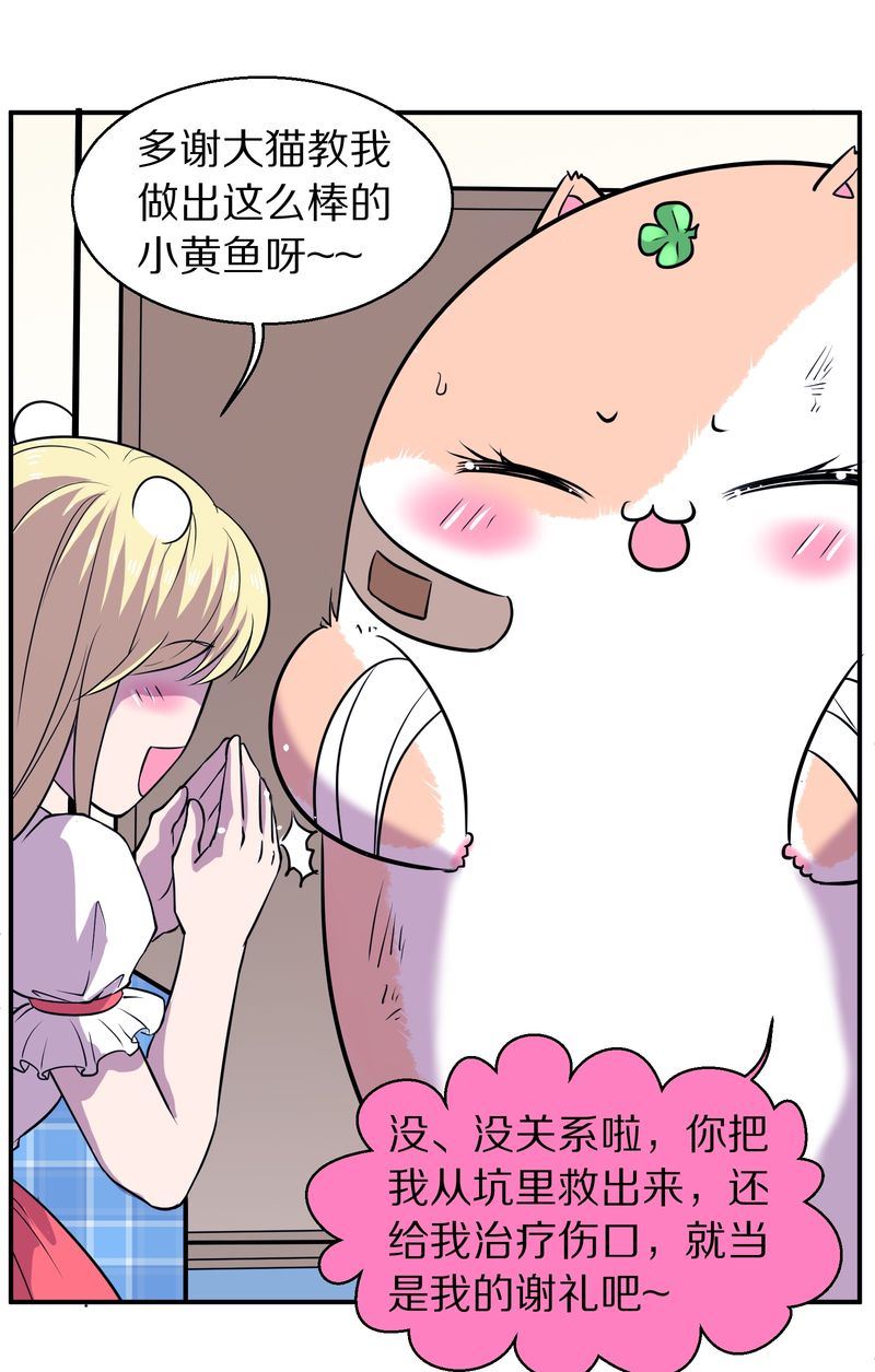 毛球星传说  第111集(1/3)-第111话