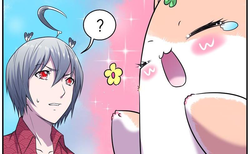 毛球星传说  第111集(1/3)-第111话