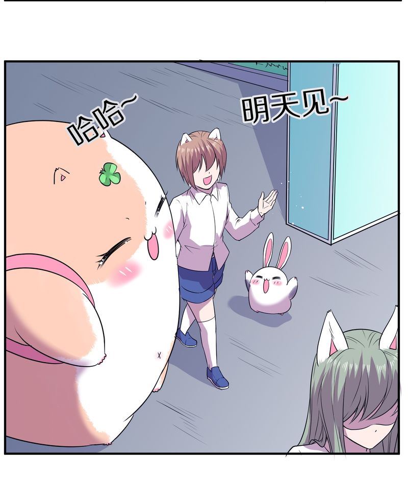 毛球星传说  第113集(1/2)-第113话