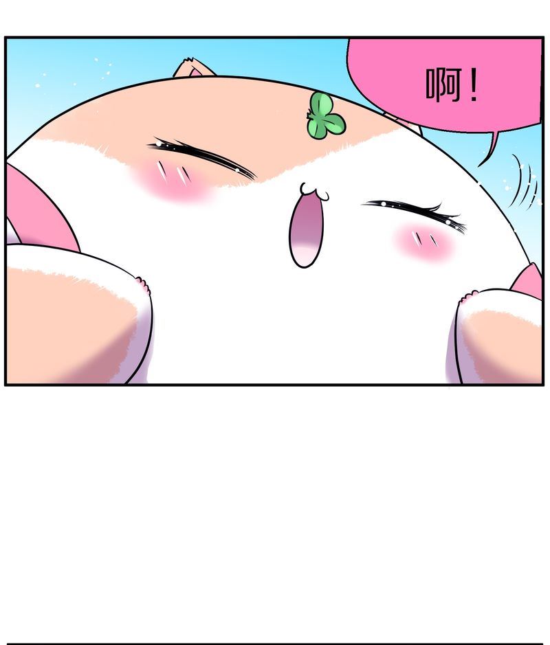 毛球星传说  第113集(1/2)-第113话