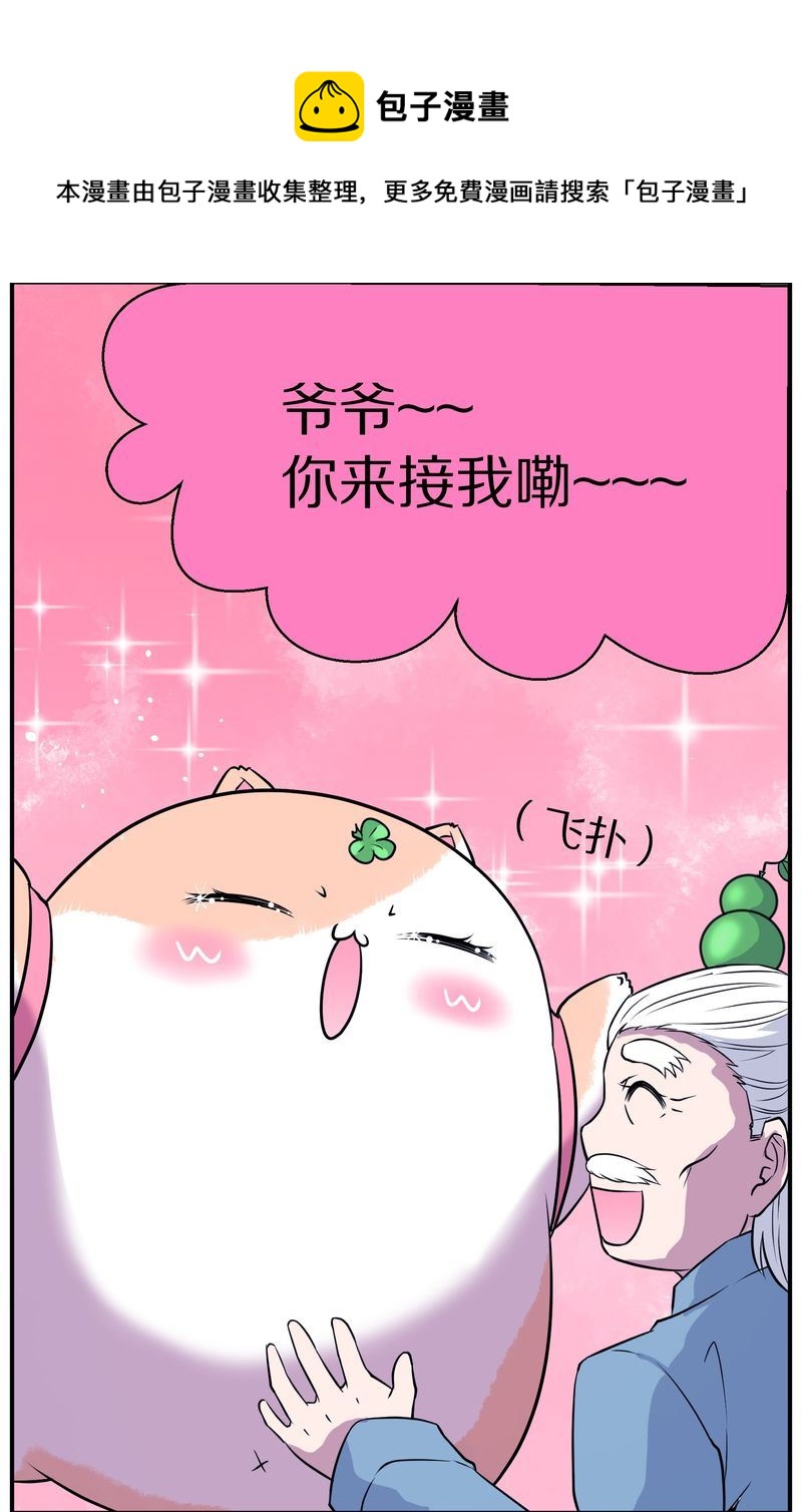 毛球星传说  第113集(1/2)-第113话