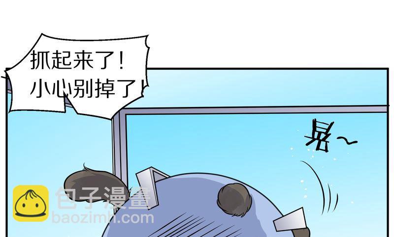 毛球星传说  第115集(1/3)-第115话