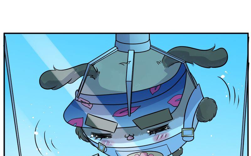 毛球星传说  第115集(1/3)-第115话