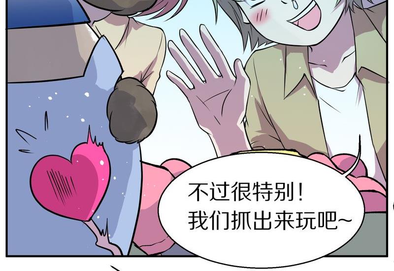 毛球星传说  第115集(1/3)-第115话