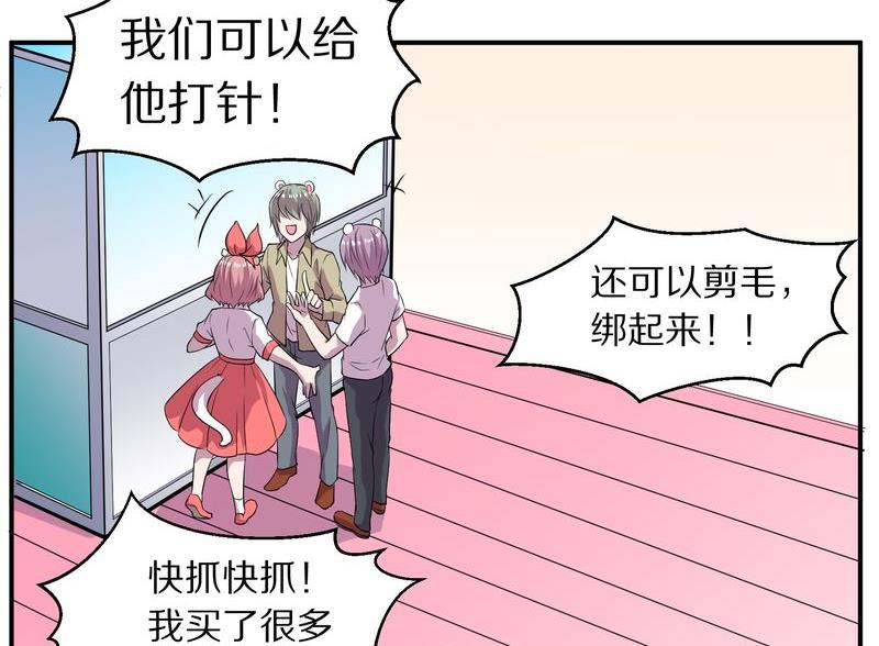 毛球星传说  第115集(1/3)-第115话