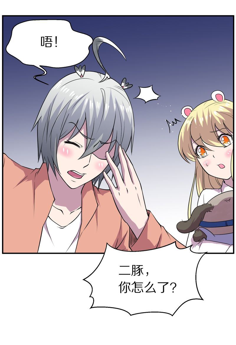 毛球星传说  第115集(1/3)-第115话