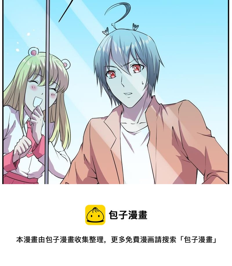 毛球星传说  第115集(1/3)-第115话