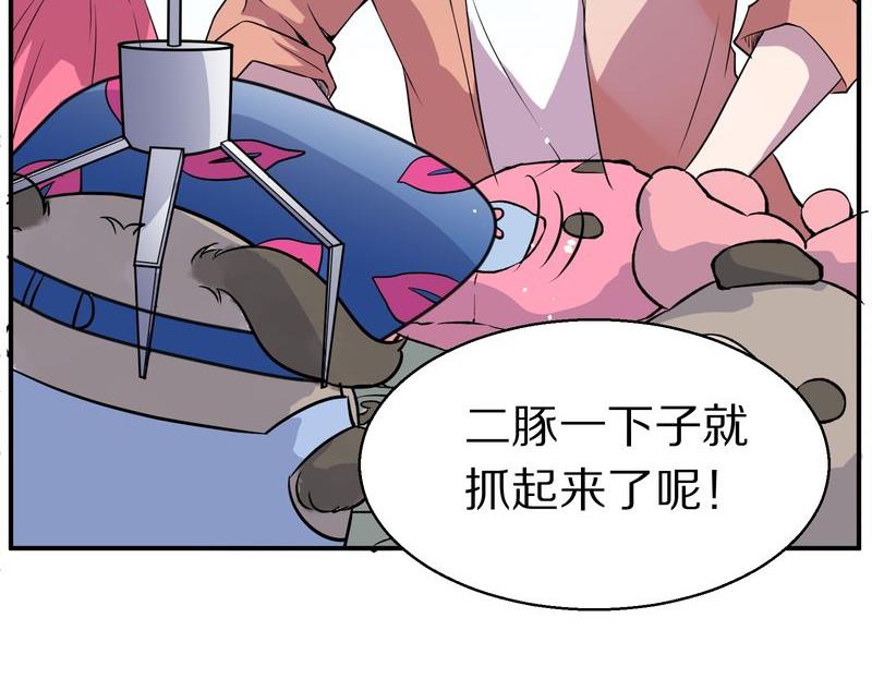 毛球星传说  第115集(1/3)-第115话