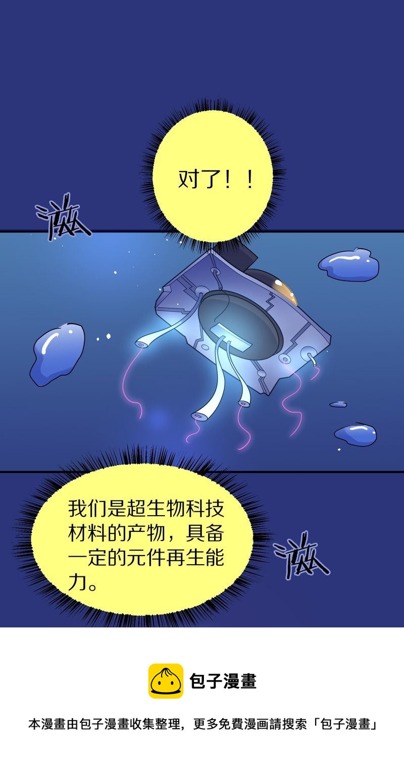毛球星传说  第117集(1/4)-第117话