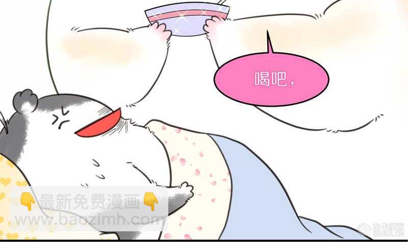 毛球星传说 第13集(1/2)-第13话