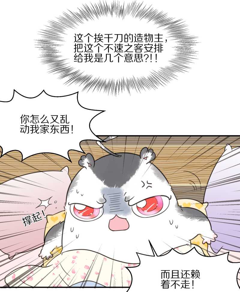 毛球星传说 第13集(1/2)-第13话