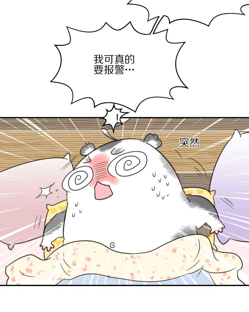 毛球星传说 第13集(1/2)-第13话